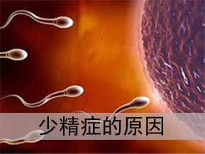 少精症的危害,<a class='link_keywords' href='http://www.yjrj120.com/'>阳江仁济男科医院</a>,少精症的影响 